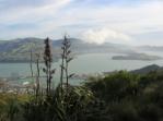 View from Christchurch Gondola